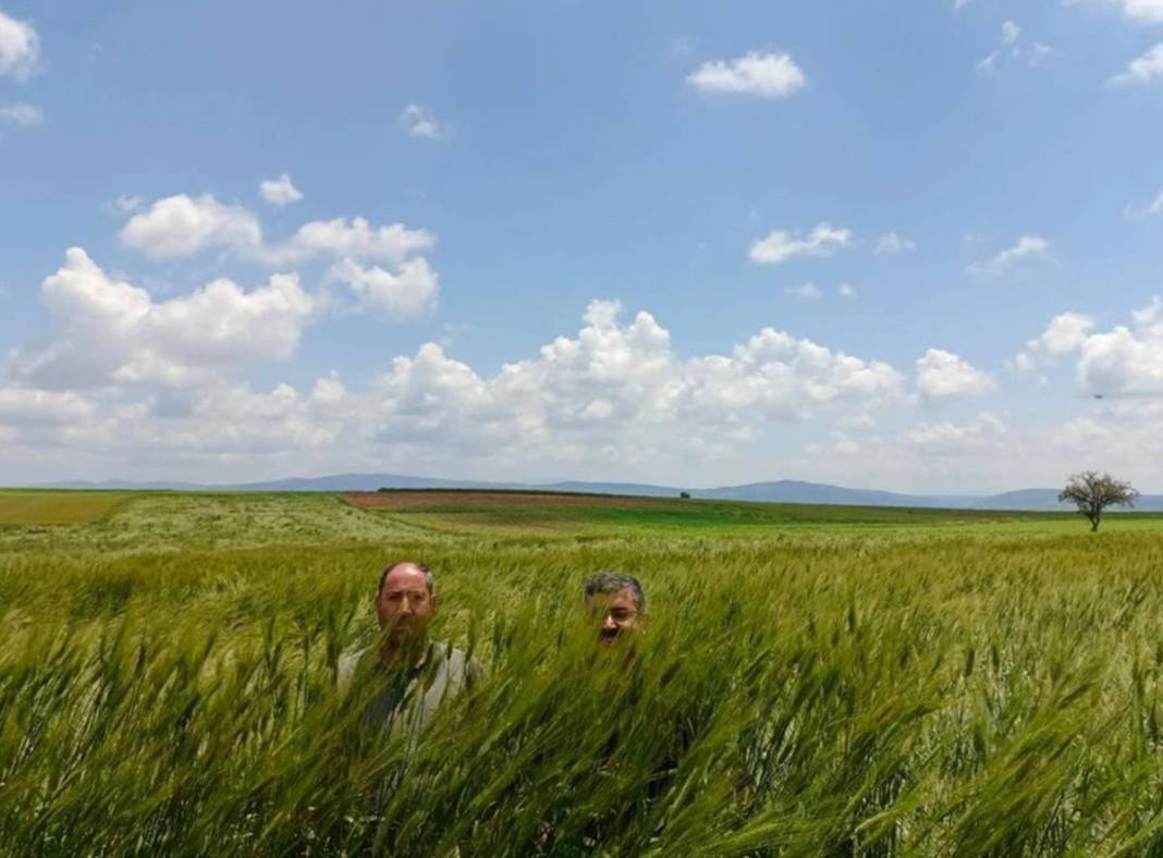Yağmurdan sonra ortaya çıktı, tarla sahibi büyük şaşkınlık yaşadı! 1.80 metre uzunluğunda, sonunda makarna olacak 7